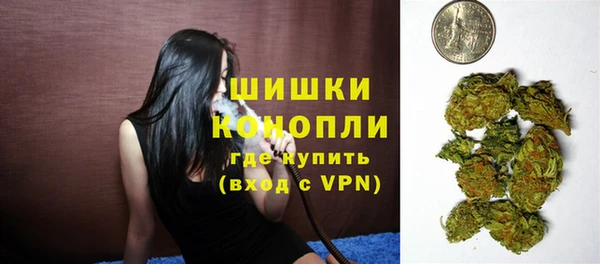 ALPHA PVP Чердынь