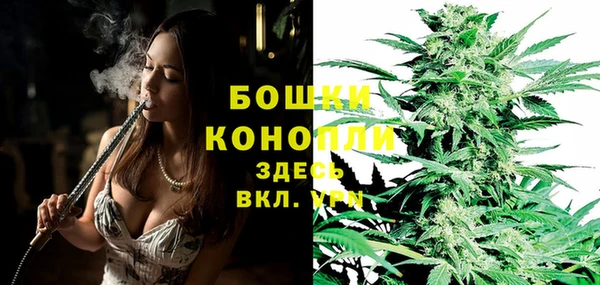 ALPHA PVP Чердынь