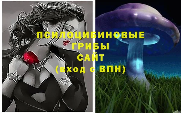 ALPHA PVP Чердынь