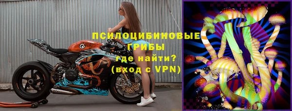 ПСИЛОЦИБИНОВЫЕ ГРИБЫ Чекалин