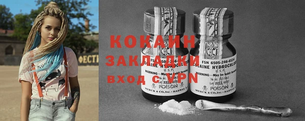 ПСИЛОЦИБИНОВЫЕ ГРИБЫ Чекалин
