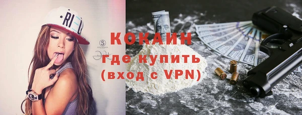 ПСИЛОЦИБИНОВЫЕ ГРИБЫ Чекалин