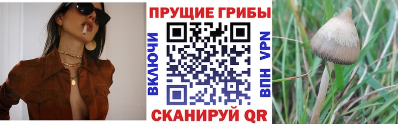 Галлюциногенные грибы MAGIC MUSHROOMS  маркетплейс формула  Нижневартовск 