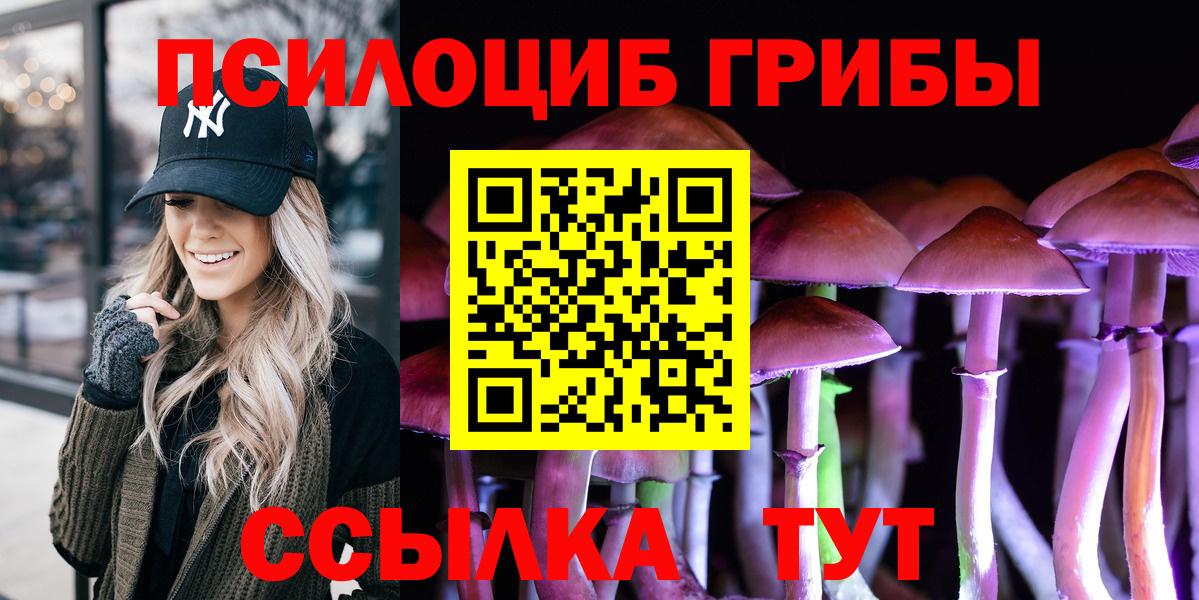Псилоцибиновые грибы Cubensis Нижневартовск