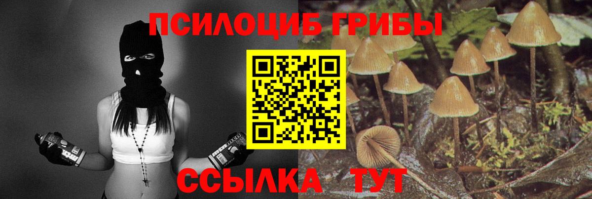 Галлюциногенные грибы мицелий Нижневартовск